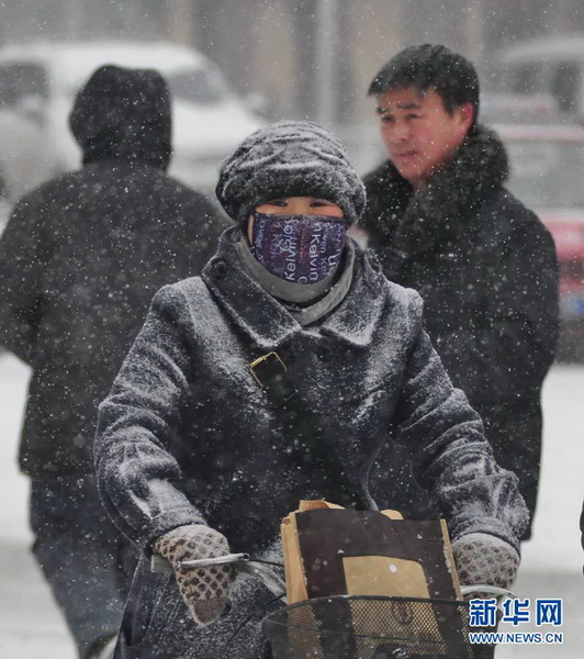 我國北方多個城市遭受暴雪襲擊(圖)