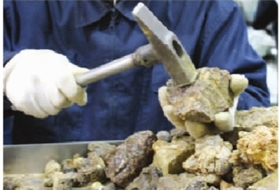 長沙暫未發(fā)現(xiàn)假蜂膠 記者探秘制作全過程