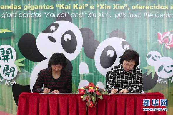 贈(zèng)澳大熊貓“開(kāi)開(kāi)”“心心”交接儀式在澳門舉行