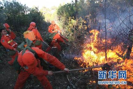 云南省玉龍縣森林大火已基本撲滅 火災(zāi)原因在調(diào)查中