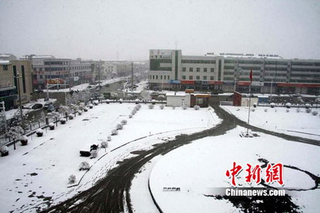 張家口壩上地區(qū)四月飛雪 農(nóng)民稱“及時雪”