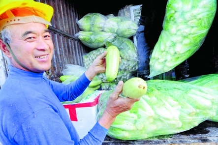 田頭價(jià)賤無人問零售價(jià)卻居高 “菜籃子”怎么啦