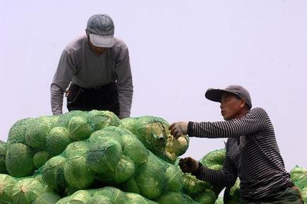 蘋果價(jià)