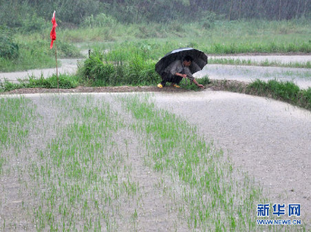 長(zhǎng)江中下游“旱澇急轉(zhuǎn)” 專(zhuān)家解讀極端天氣現(xiàn)象