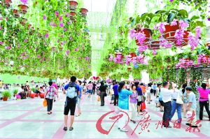 南沙新區(qū)至深圳機場擬建海底隧道