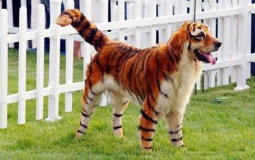 好歡樂！張張有亮點(diǎn)