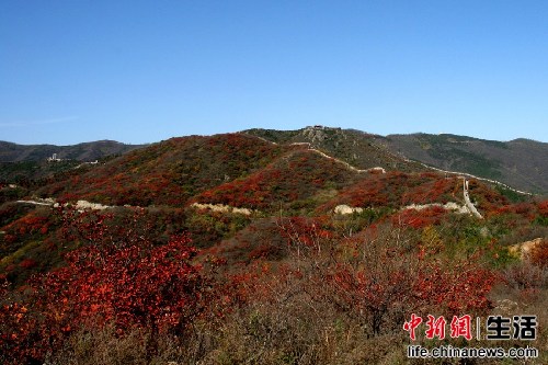 盤點國內(nèi)十大“秋色”