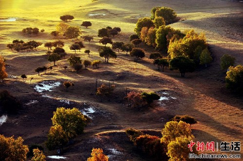 盤點(diǎn)國(guó)內(nèi)十大“秋色”
