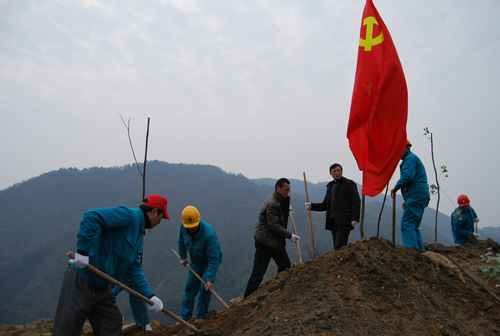 義務植樹，其樂淘淘