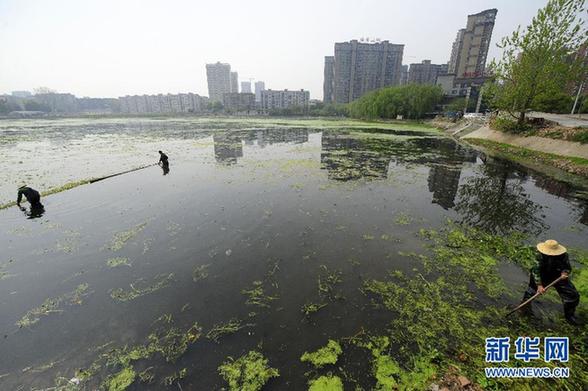 數(shù)百湖泊“人間蒸發(fā)” 地產(chǎn)商填湖建房觸目驚心