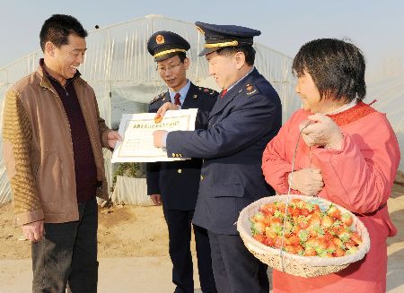 濮陽工商幫扶種植戶 大力發(fā)展草莓種植