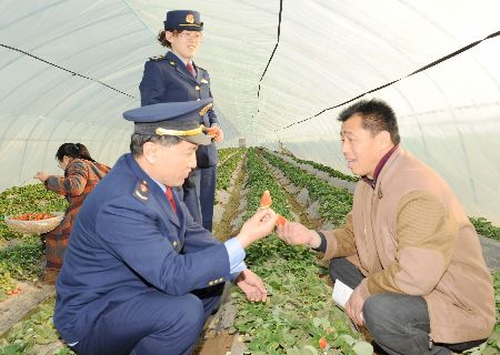 濮陽工商幫扶種植戶 大力發(fā)展草莓種植