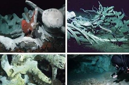 沉船遺骸 探秘不為人知的海底墳?zāi)?/></p>

<p>　　人們還曾在墨西哥尤卡坦水下洞穴中發(fā)現(xiàn)了生活在1萬零500年前的人類骷髏。在水里發(fā)現(xiàn)人類骷髏是一件很不尋常的事情，介于世界上被水體覆蓋的面積，在水里找到人類遺骸就好比在大海里撈針。</p>
</p>
</div>
</div>

<div   class=