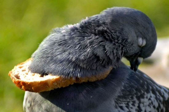 笑到噴了！ 