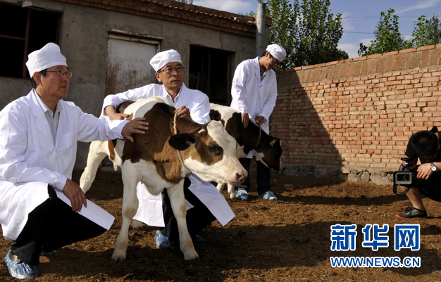 世界首例轉(zhuǎn)基因