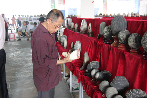 中國(guó)首屆金沙江奇石藝術(shù)博覽會(huì)展品令人嘆為觀止