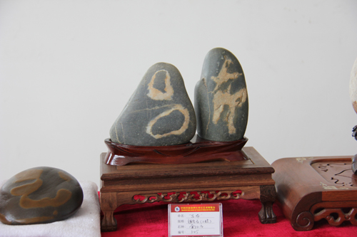 中國(guó)首屆金沙江奇石藝術(shù)博覽會(huì)展品令人嘆為觀止