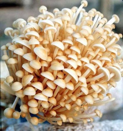 女性養(yǎng)生：胸部愛“吃”哪些食物？