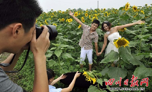 綿竹開辟千畝花田體驗觀光農(nóng)業(yè)