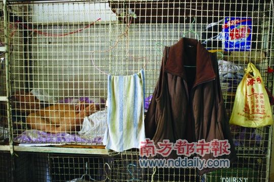 “籠屋”環(huán)境惡劣 底層港人離家避暑