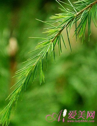 養(yǎng)生：秋季必知的4個健康秘訣 讓你不得腫瘤不生病
