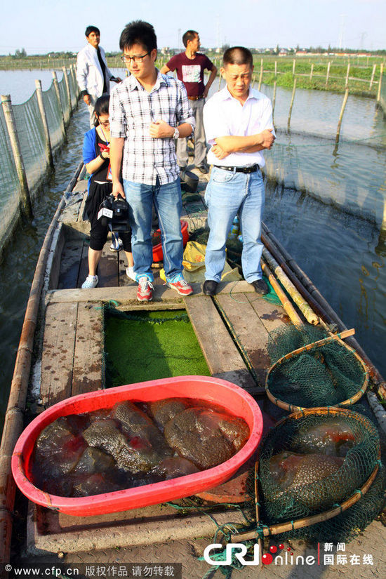 浙江一魚塘出現(xiàn)不明水生物(高清組圖)
