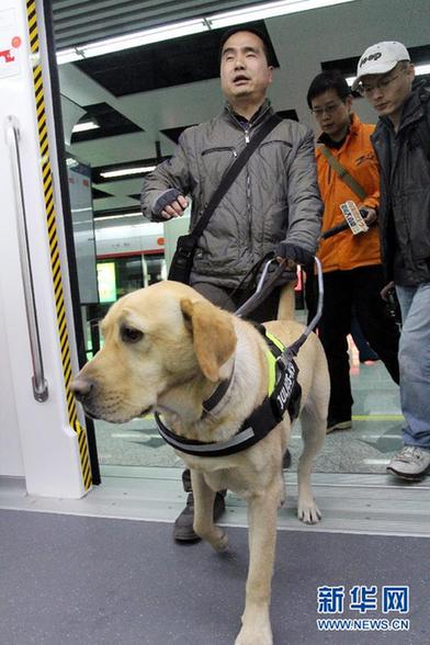 杭州導盲犬首次帶領(lǐng)主人乘地鐵