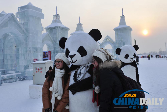 哈爾濱冰雪大世界 “大熊貓”憨態(tài)可掬