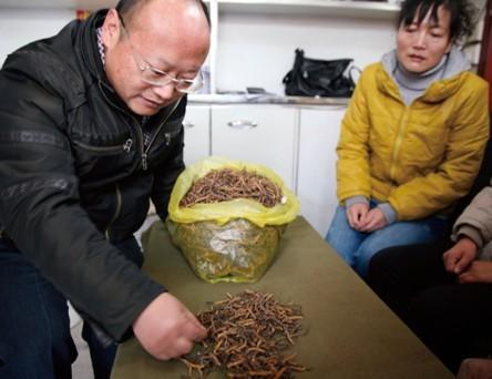 從質(zhì)疑到感動：打假斗士的極草之旅