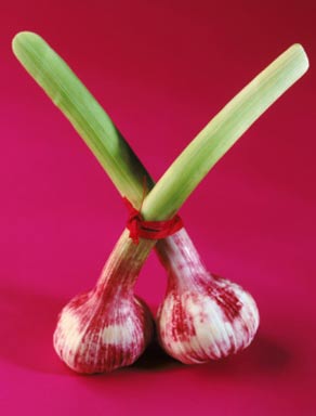 養(yǎng)生：大蒜抗癌蘋(píng)果改善心血管 8大長(zhǎng)壽食物（圖）