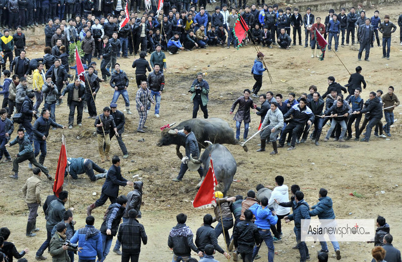 中國日報2013春節(jié)圖片精選