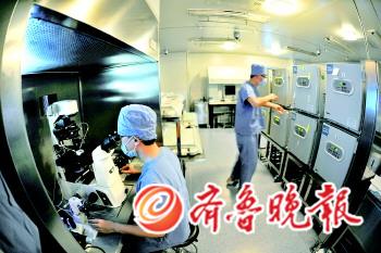 試管嬰兒想做就做？不孕不育治療亂象堪憂