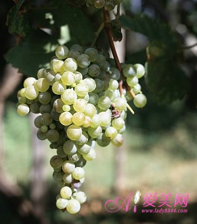 養(yǎng)生：春季飲食 菠蘿香蕉這五種水果要少吃【圖】