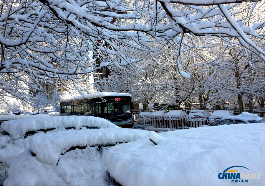 中國(guó)日?qǐng)?bào)直擊北京三月春雪