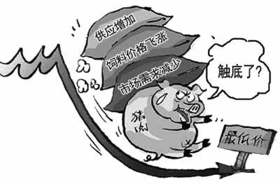 肉價(jià)為啥走不出暴漲暴跌怪圈？