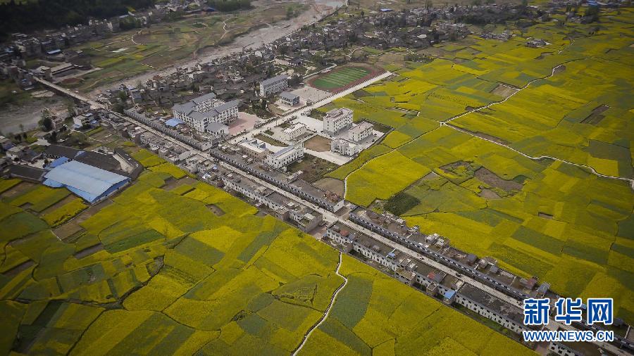 四川雅安蘆山縣地震 初步估計(jì)傷亡上百人