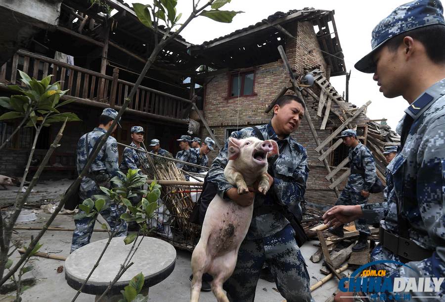 中國日報聚焦蘆山地震之救援篇