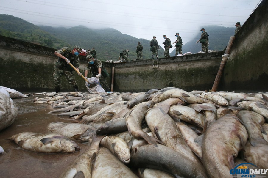 蘆山縣清仁鄉(xiāng)養(yǎng)殖基地十余噸魚死亡