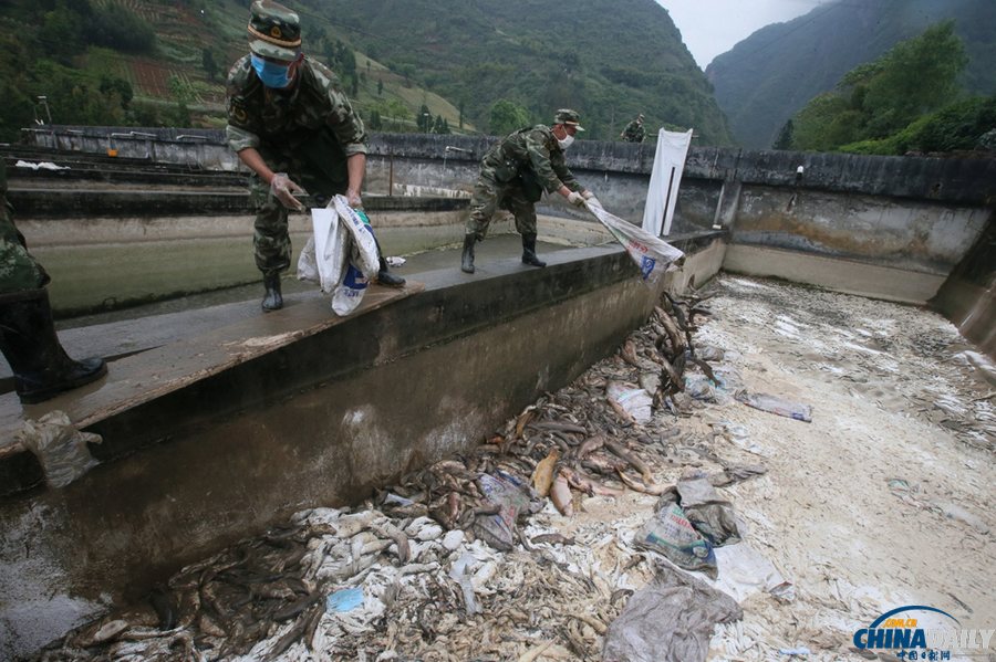 蘆山縣清仁鄉(xiāng)養(yǎng)殖基地十余噸魚死亡