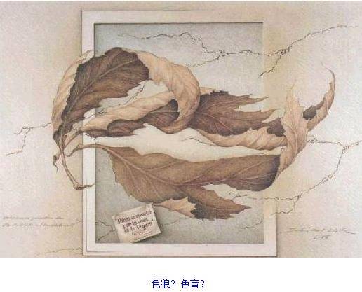 瘋狂的圖片！ 測(cè)測(cè)你的心理和眼力