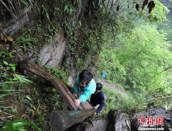 湖南桑植學(xué)生每周爬天梯懸崖求學(xué)
