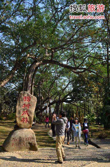 滇西春色擋不住　孔雀之鄉(xiāng)德宏體驗邊境文化