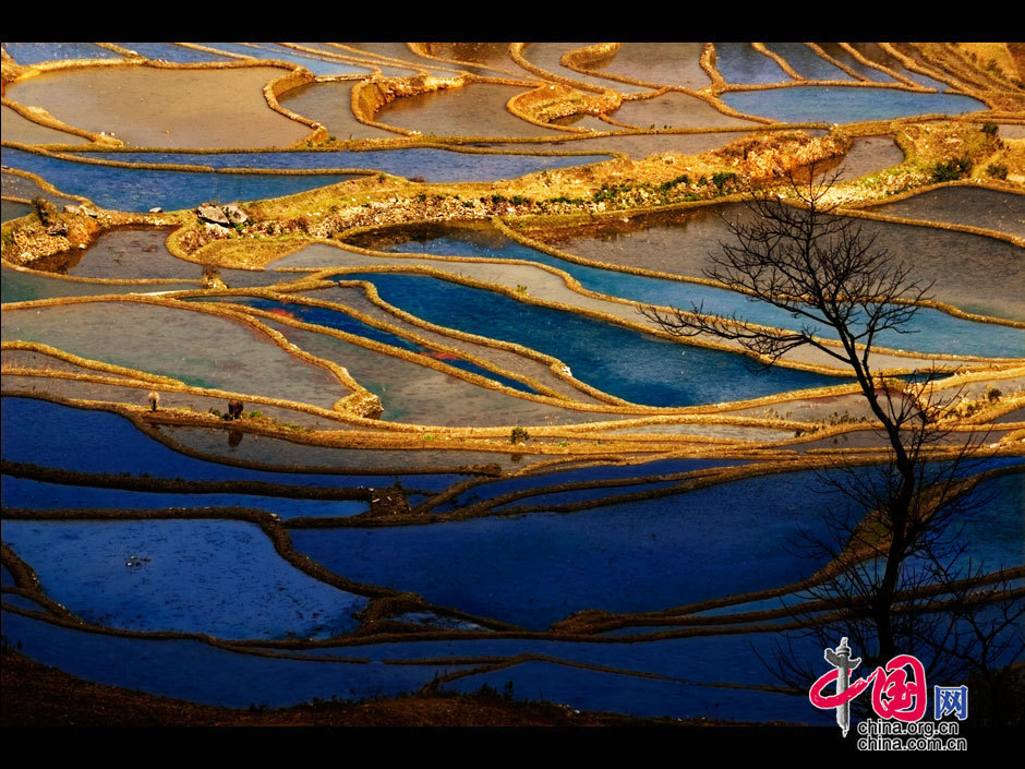 中國(guó)哈尼梯田成功列入世界遺產(chǎn)名錄