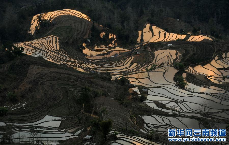 中國哈尼梯田成功列入世界遺產(chǎn)名錄