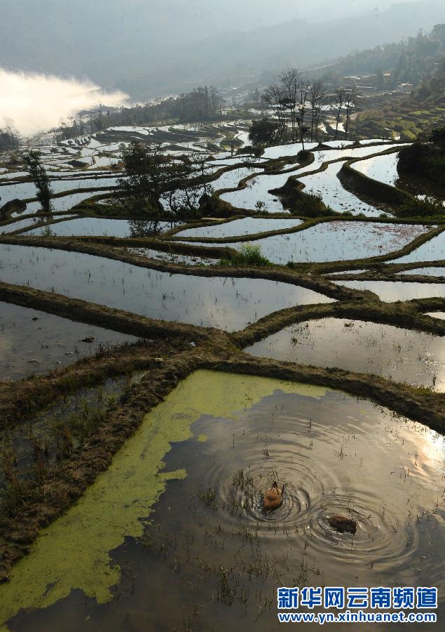 中國(guó)哈尼梯田成功列入世界遺產(chǎn)名錄