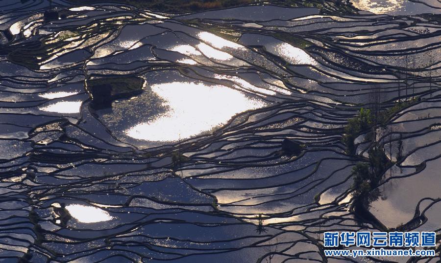中國哈尼梯田成功列入世界遺產(chǎn)名錄