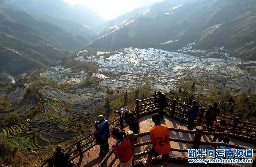 中國(guó)哈尼梯田成功列入世界遺產(chǎn)名錄