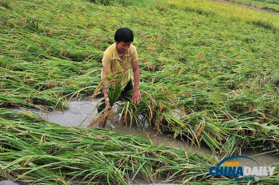 高清：強降雨致廣東梅州部分地區(qū)受災(zāi)