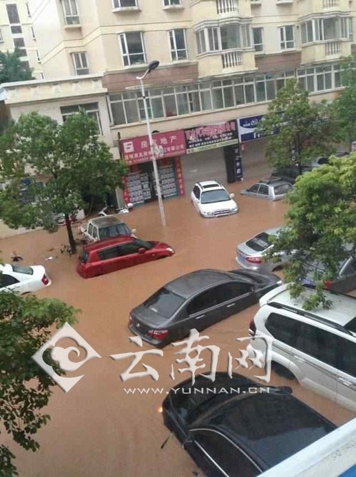 昆明一雨成澤