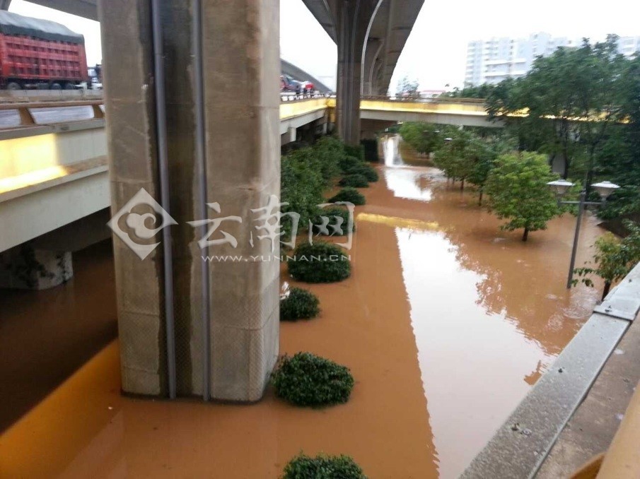 昆明一雨成澤